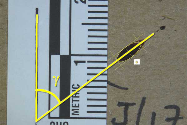 Bloodstain Example - Directional Angle